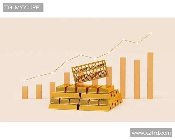 财务注册流程解析及注意事项全面指南